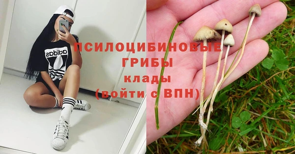 меф Инта